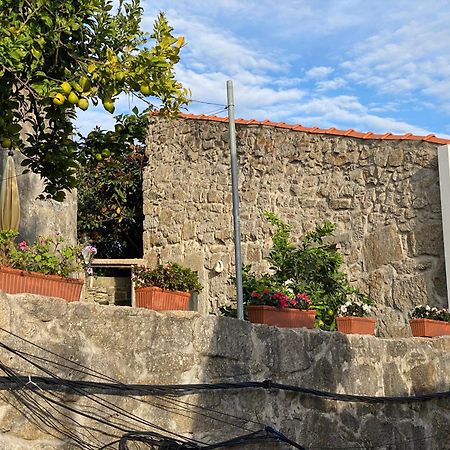 Casa Dona Olga River View Porto Exterior foto